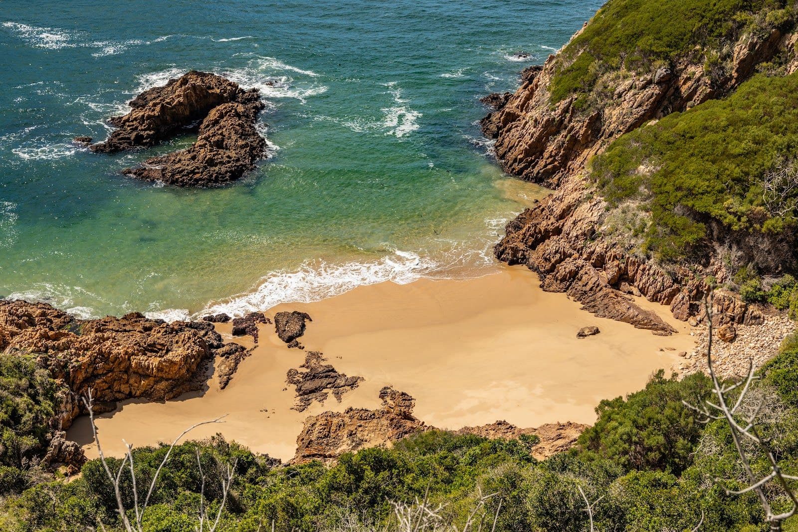 Golf, Coast & Safari — photograph 3