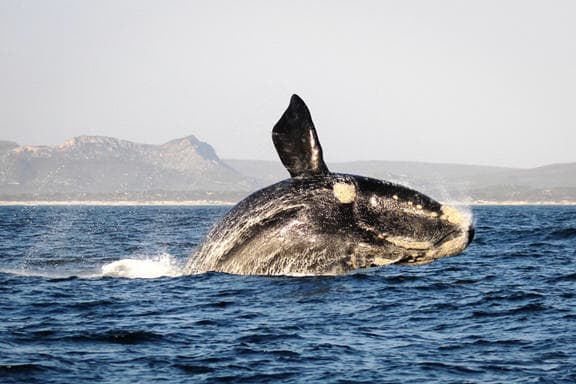 Ultimate Luxury South Africa — photograph 1